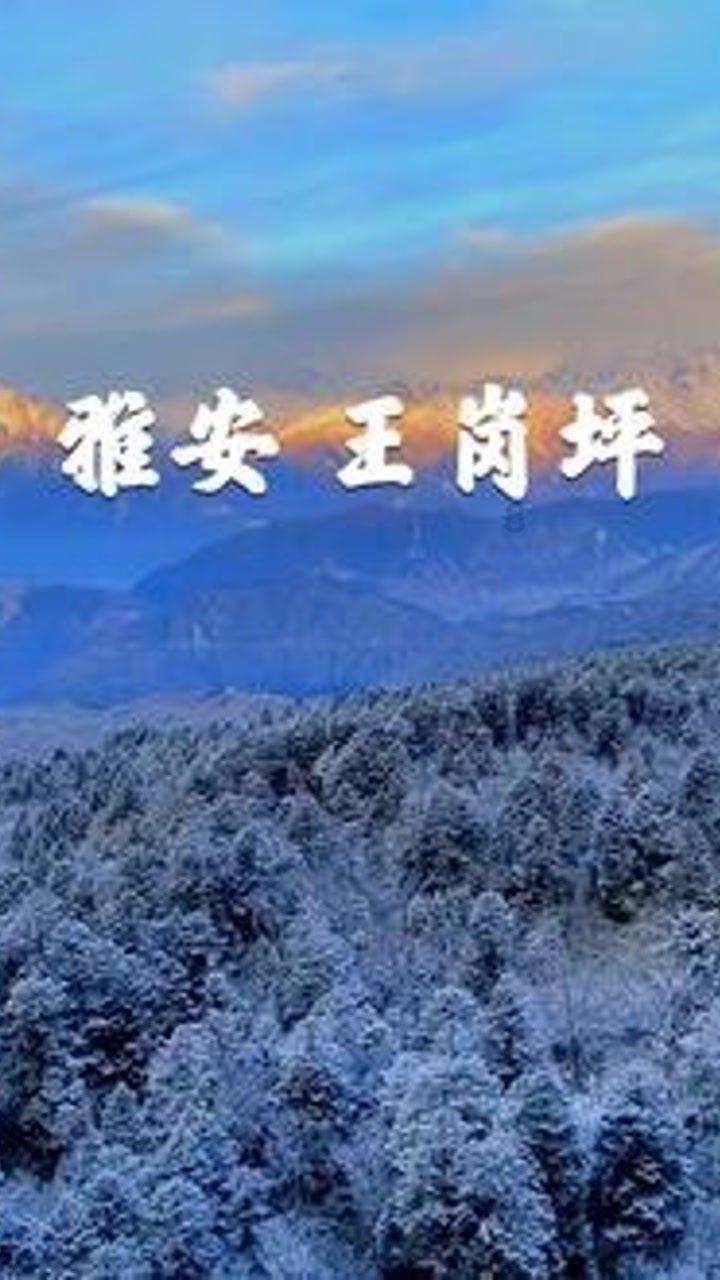 鸣人传