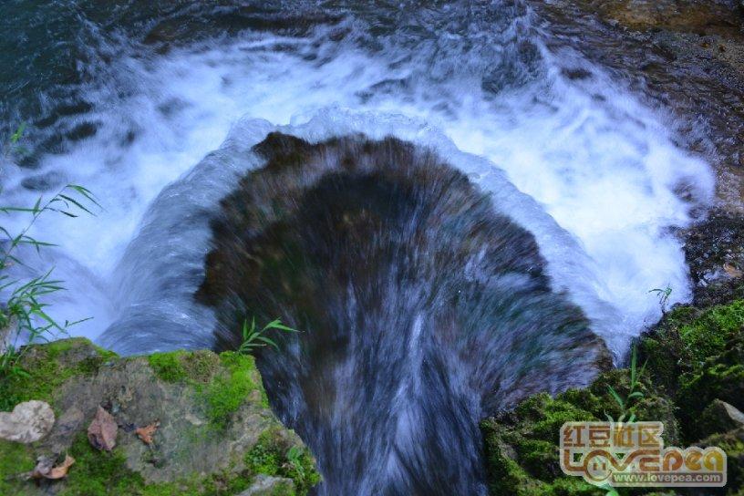 探索长颈鹿喜欢哪里?的热门话题 | 长颈鹿喜欢哪里?红迪网