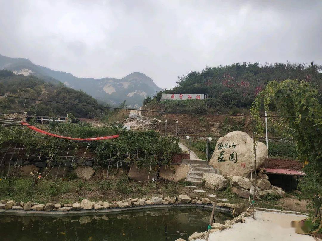 赶临清大集 感受运河岸边的浓浓年味儿