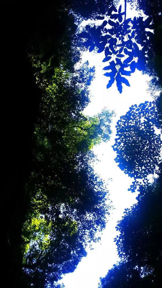 宠物世界聚会