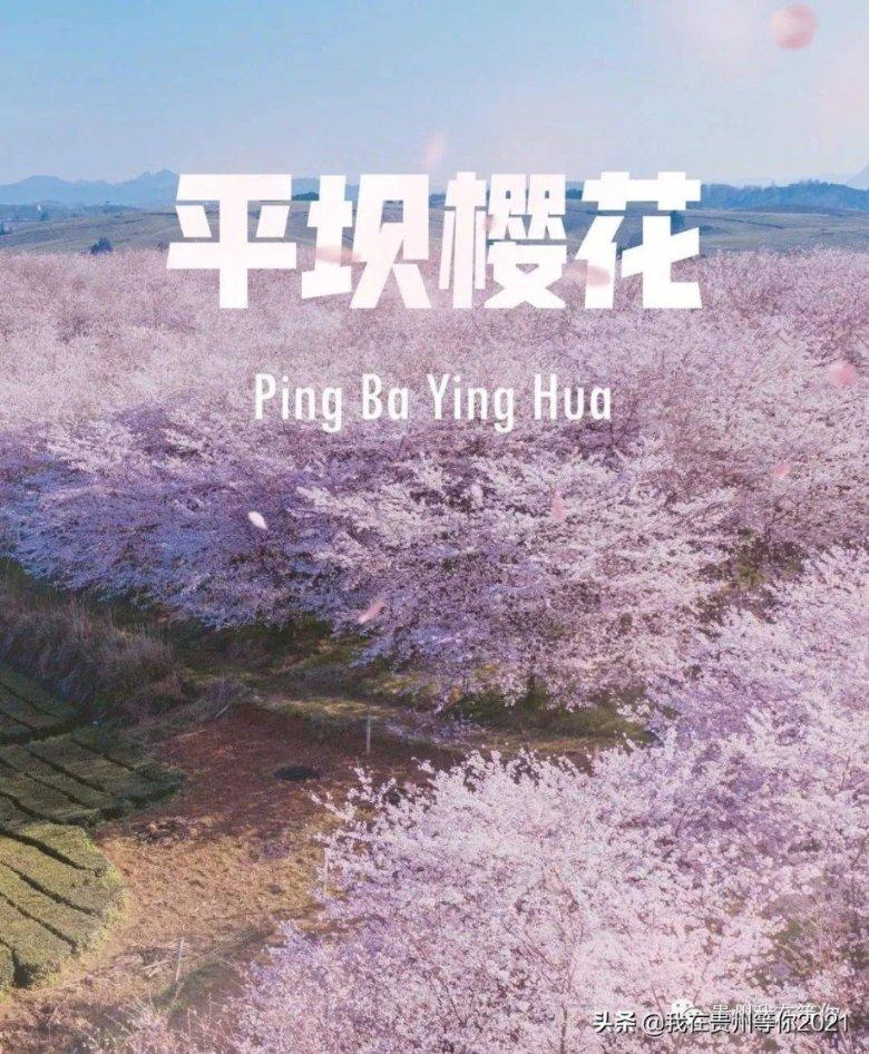 小猫钓鱼开船版最新版下载