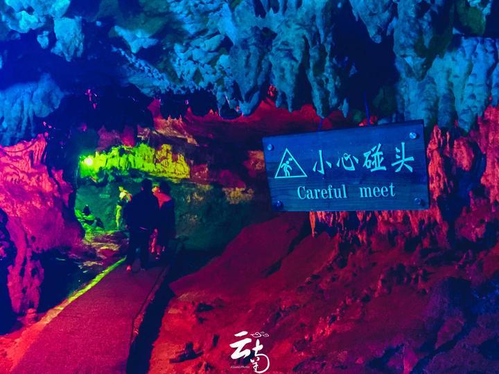 虫虫助手下载