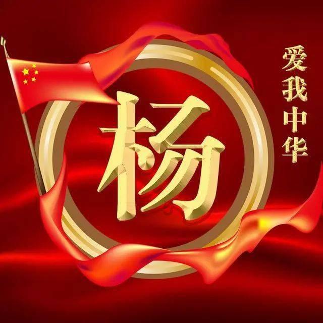 疯狂的小偷