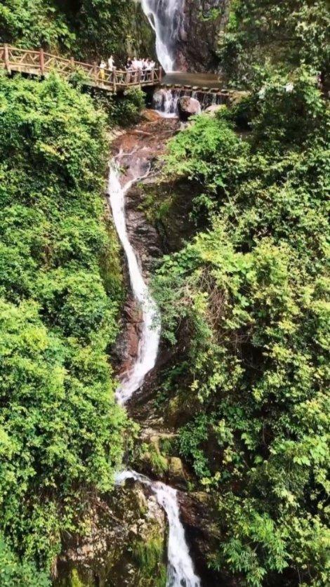 倩女幽魂手游