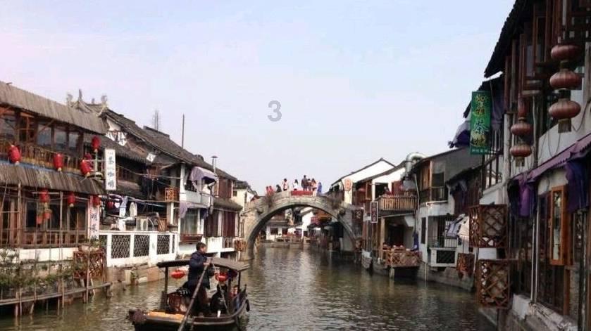 细胞分裂5